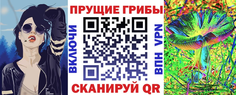 MEGA как войти  закладки  Суворов  Галлюциногенные грибы GOLDEN TEACHER 