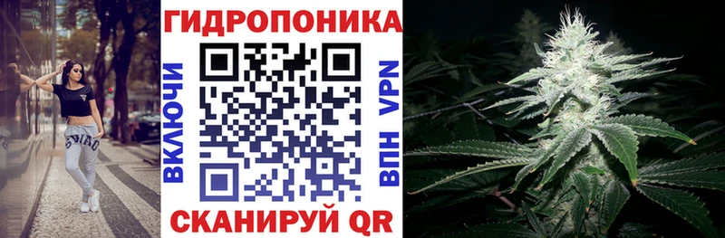 Бошки марихуана индика  как найти наркотики  Суворов 